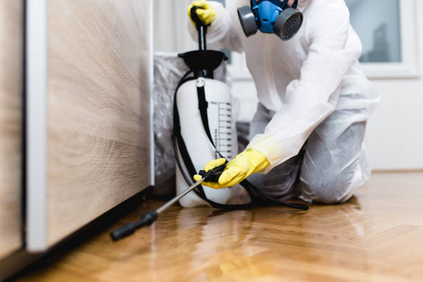 Pest Control for Restaurants in Ponca City, OK