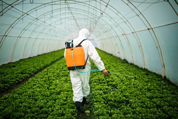 Best Local Pest Control Services  in Ponca City, OK