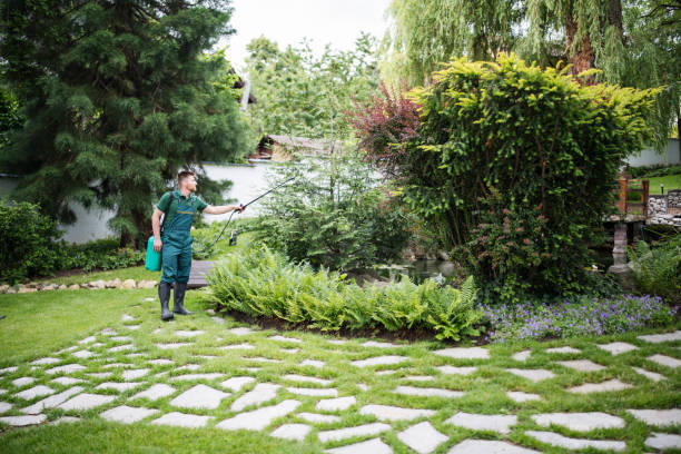 Best Mosquito Control Services  in Ponca City, OK