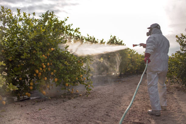 Best Best Pest Control Companies  in Ponca City, OK