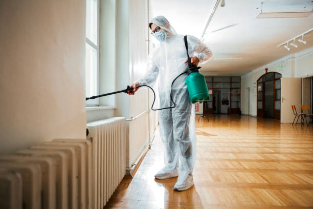 Best Flea Control Services  in Ponca City, OK