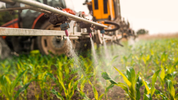 Best Commercial Pest Control Services  in Ponca City, OK